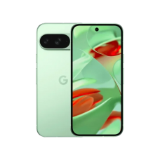 Смартфон Google Pixel 9 12/256GB Wintergreen (GA05844)